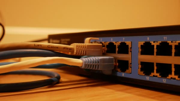 Network cables patched into a switch
